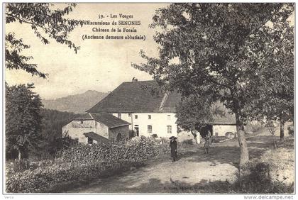 Carte Postale Ancienne de SENONES