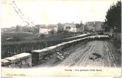 CPA Carte Postale France Tannay Vue générale côté nord  moutons 1905 VM76548ok