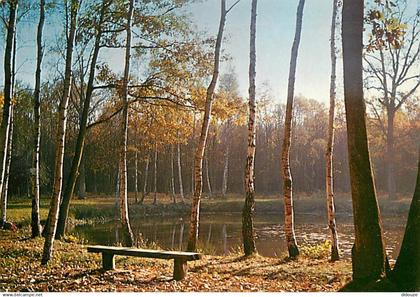 95 - Taverny - Forêt de Taverny - L'Etang Godard - CPM - Voir Scans Recto-Verso