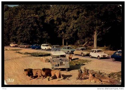 78 Thoiry chateau reserve africaine voiture 1960 lion D78D K78420K C78616C RH105120