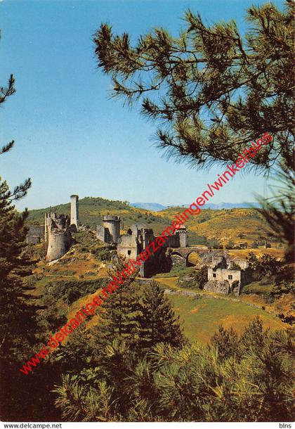 Château de Boulogne - Vals les Bains - (7) Ardèche