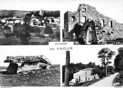 81-VAOUR - MULTIVUES