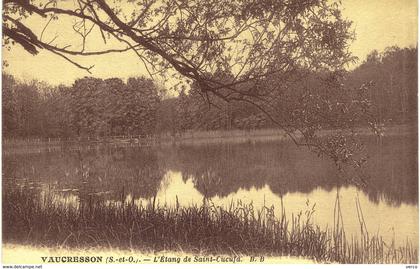 Carte POSTALE Ancienne de VAUCRESSON - Etang de Saint Cucufa