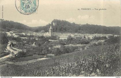 VIGNORY - vue générale.