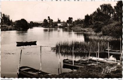 CPM Villeblévin Bords de l'Yonne Port-Renard (1184234)