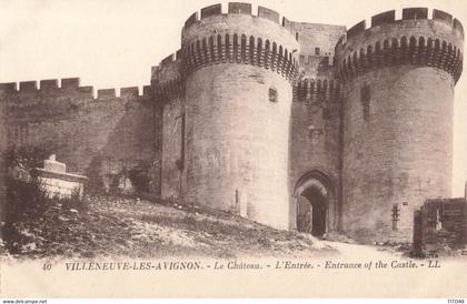 France (30 Gard) - Villeneuve-lès-Avignon - Le Château - L'Entrée