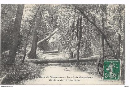 Bois de Vincennes - La chute des arbres