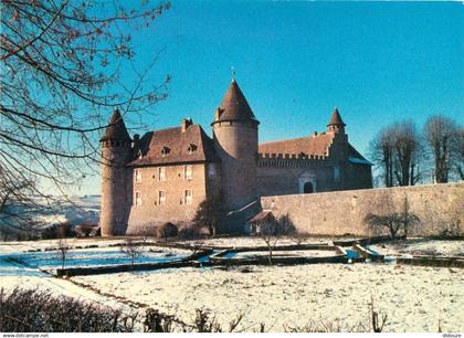 38 - Virieu - Le Château - Hiver - Neige - CPM - Carte Neuve - Voir Scans Recto-Verso