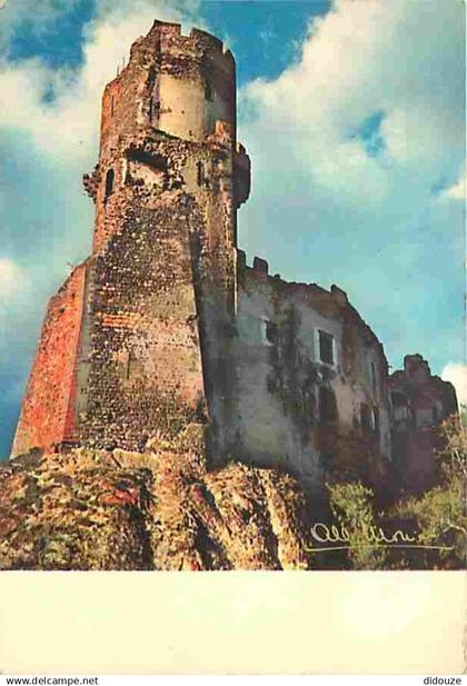 63 - Volvic - Le Château de Tournoel - CPM - Voir Scans Recto-Verso