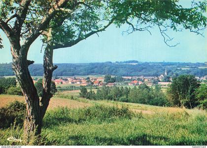 86 VOUNEUIL SUR VIENNE VALLEE DE LA VIENNE