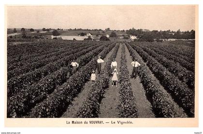 Vouvray - La Maison du Vouvray