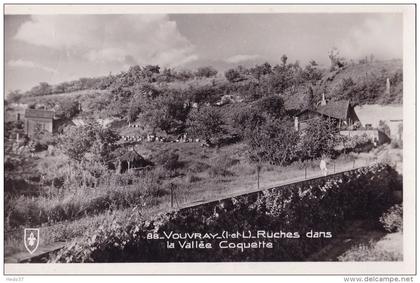 Vouvray - Ruches dans la Vallée Coquette