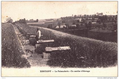 Carte Postale Ancienne de XERTIGNY