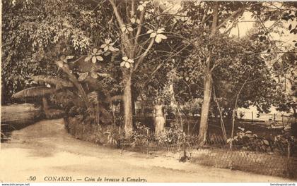 french guinea, CONAKRY, Coin de Brousse (1910s) Postcard