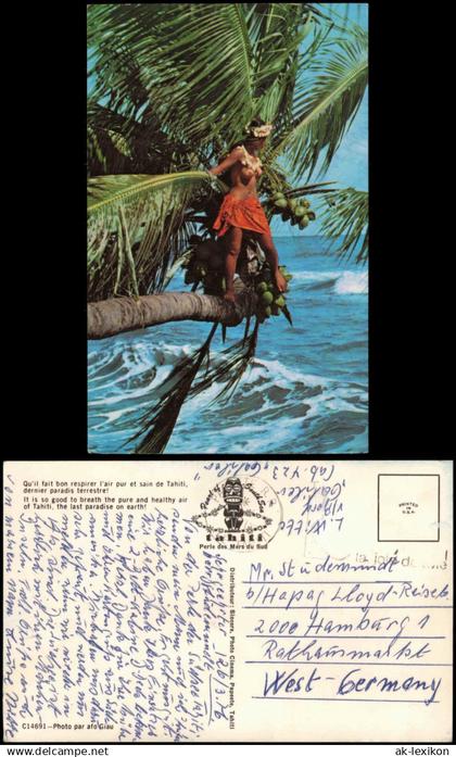 .Tahiti Tahiti (Insel) nackte Frau auf Palme Typen Karibik Caribeen 1976