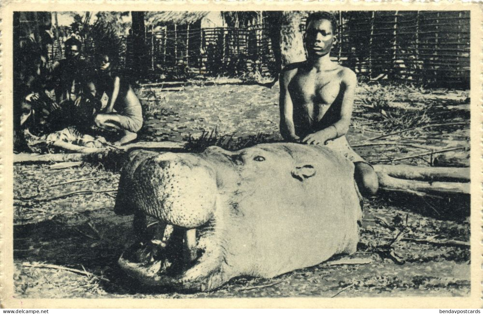 french congo, Native Hunter, Hippo Hippopotamus Head, Hunting (1920s) Mission