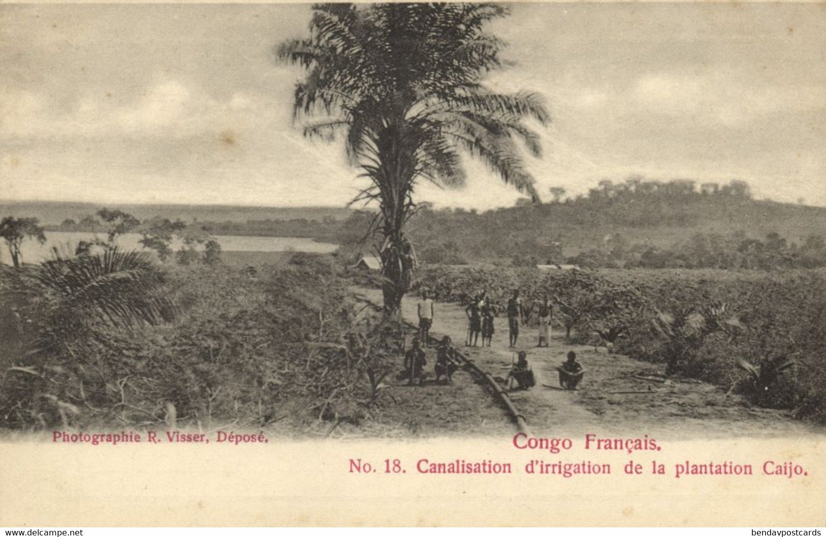 french congo, Pipeline for Irrigation of the Caijo Plantation (1900s) Postcard