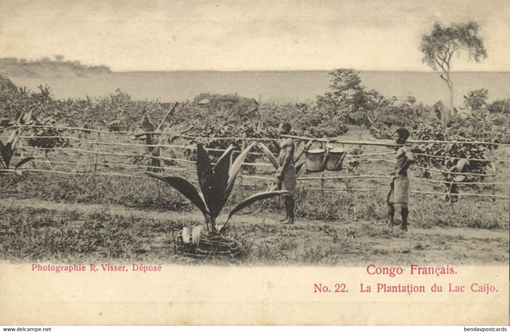 french congo, Plantation Lake Caijo (1900s) Postcard