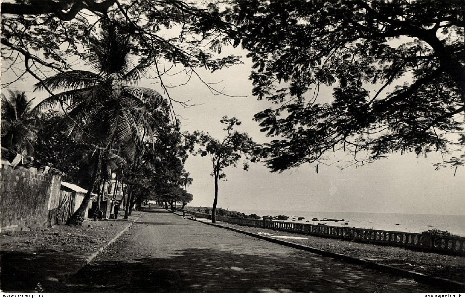 french guinea, CONAKRY, La Corniche (1950s) Hoa-qui RPPC Postcard