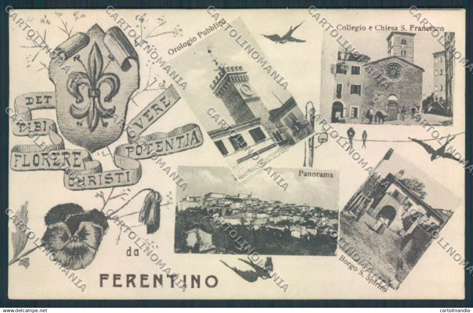 Frosinone Ferentino cartolina MV1187