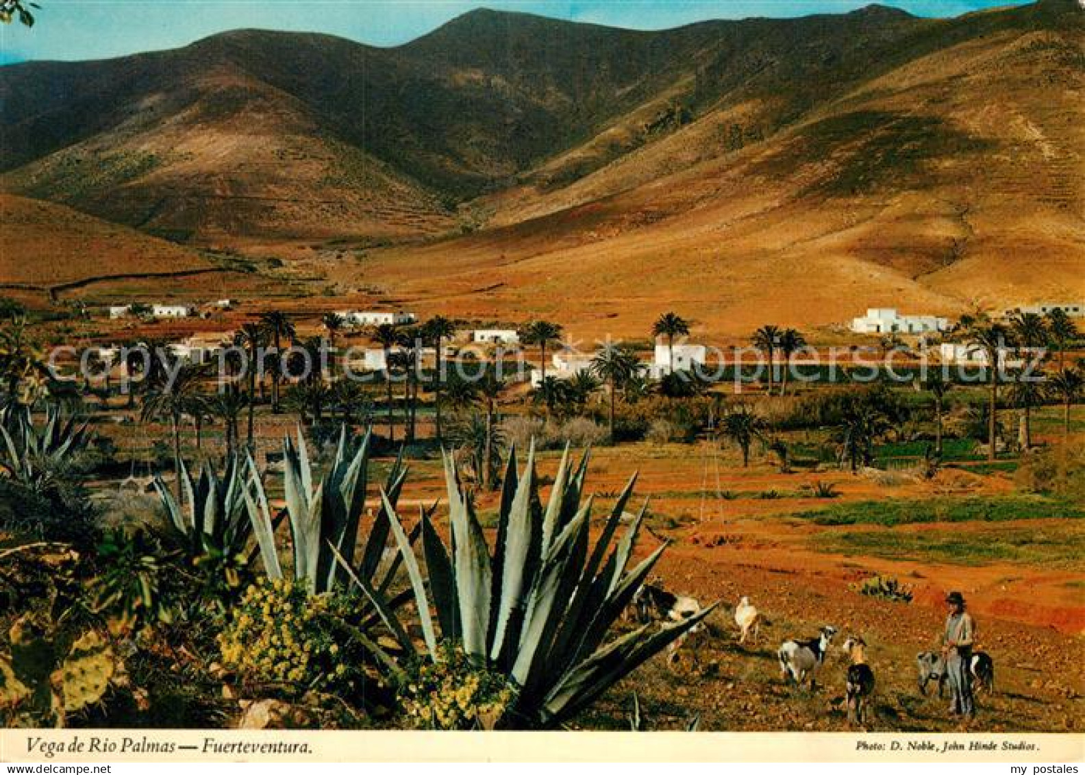 Fuerteventura Vega de Rio Palmas