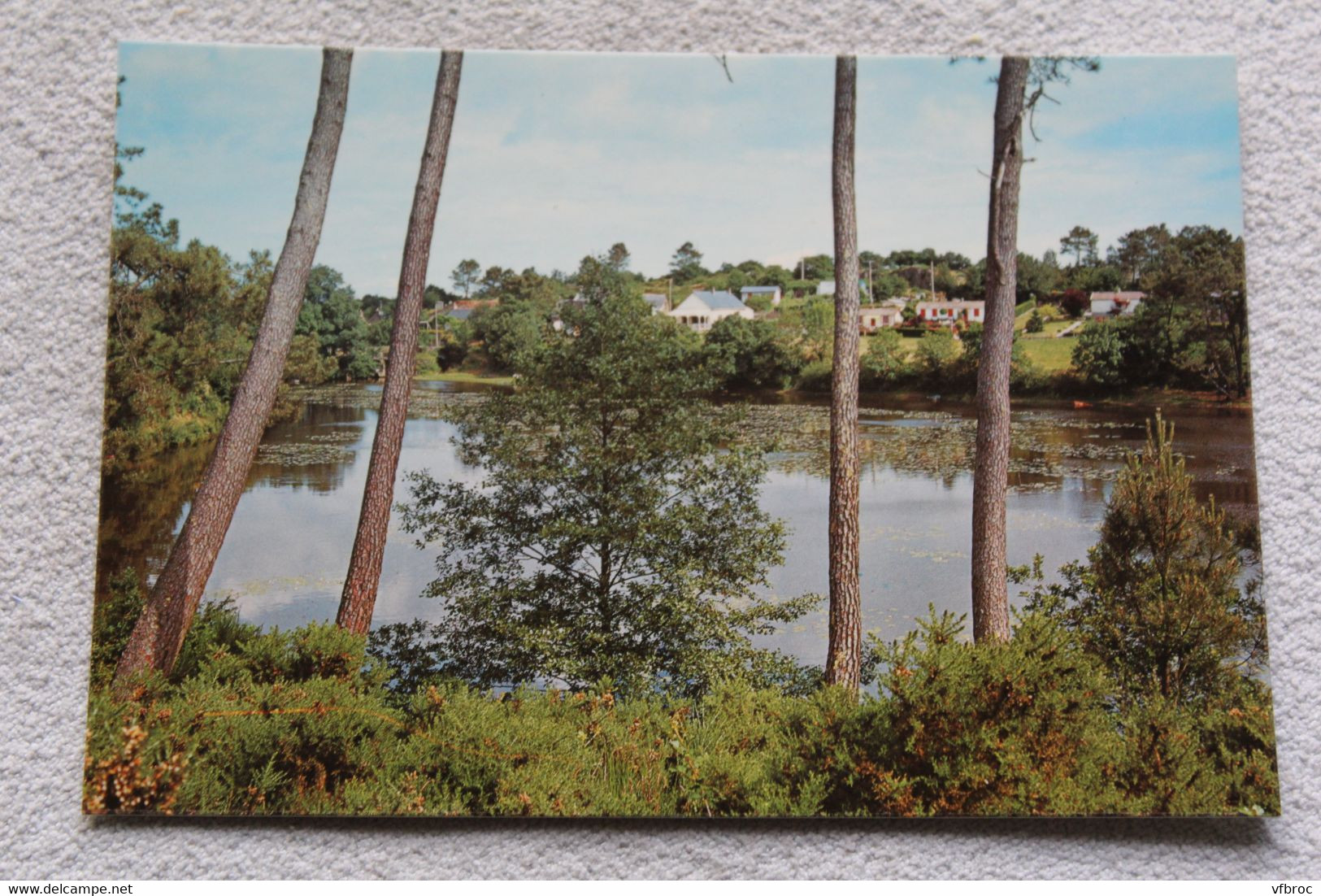 G663, Cpm, Moisdon la Rivière, l'étang de la Forge, Loire atlantique 44