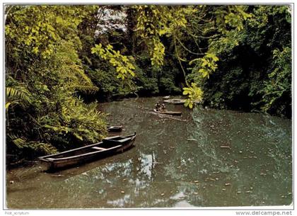 Afrique - Gabon - promenade en pirogue