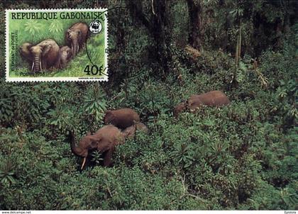 Gabon Gabun 1988 maximum Card fauna WWF protected animals Forest Elephant (Loxodonta africana cyclotis) Elefant elefante