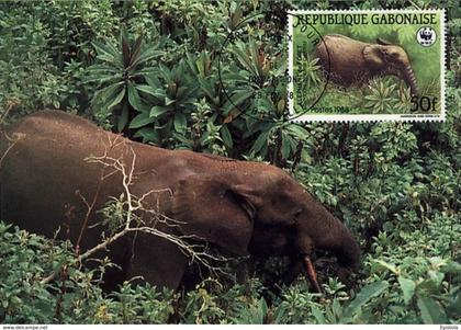 Gabon Gabun 1988 maximum Card fauna WWF protected animals Forest Elephant (Loxodonta africana cyclotis) Elefant elefante