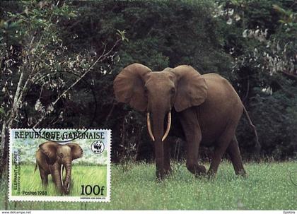 Gabon Gabun 1988 maximum Card fauna WWF protected animals Forest Elephant (Loxodonta africana cyclotis) Elefant elefante