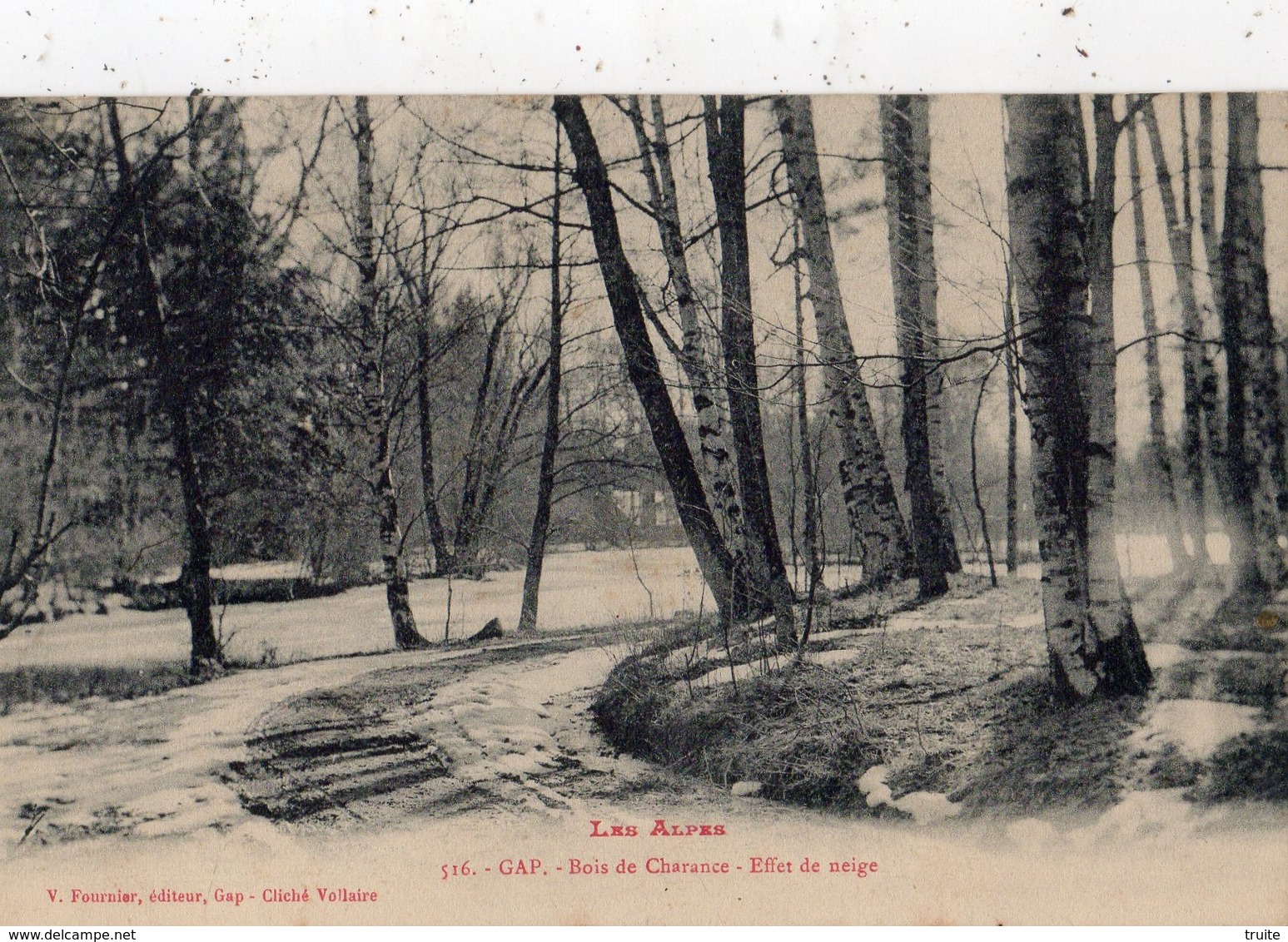 GAP BOIS DE CHARANCE EFFET DE NEIGE