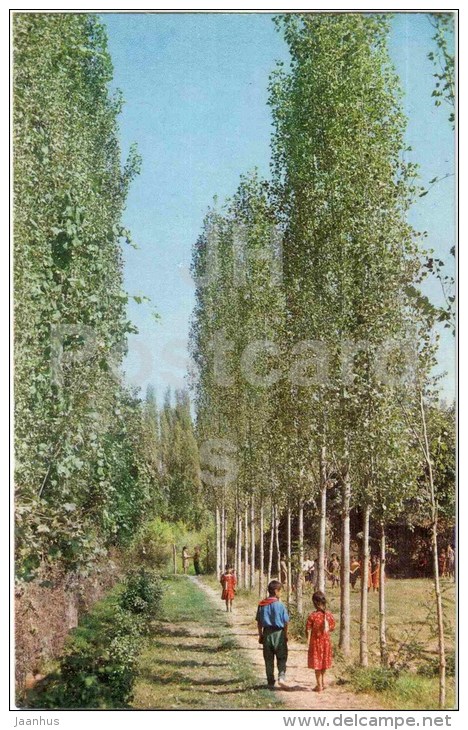 Geokchai Landscape - 1970 - Azerbaijan USSR - unused