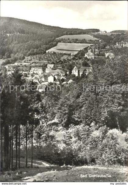 71981818 Bad Gottleuba-Berggiesshuebel