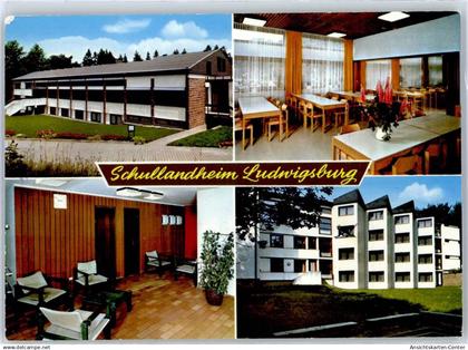 51373393 - Waldbrunn , Odenw