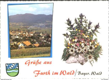 70112289 Furth Wald Furth Wald