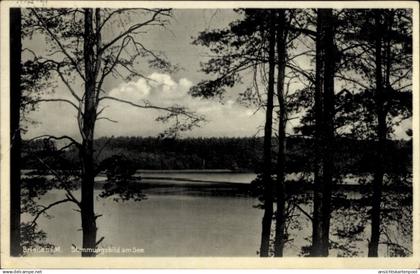 CPA Briesen in der Mark, Stimmungsbild am See