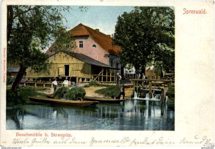 Spreewald, Buschmühle b. Straupitz