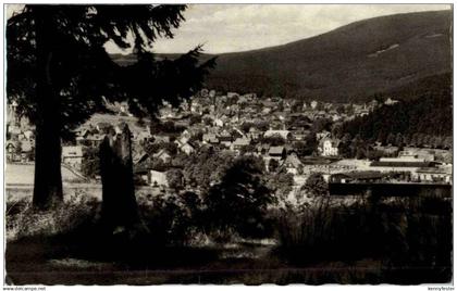 Braunlage - Adamsblick