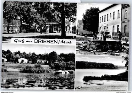 51356621 - Briesen (Mark)