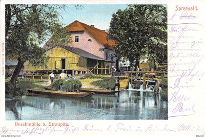 Buschmühle b.Straupitz (Dahme-Spreewalskreis) gel.1904 AKS