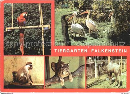 72326073 Falkenstein Vogtland Tiergarten Falkenstein Ara Meerkatzen Luchs Junges