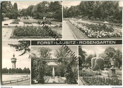 Forst / Lausitz - Rosengarten - Foto-Ansichtskarte