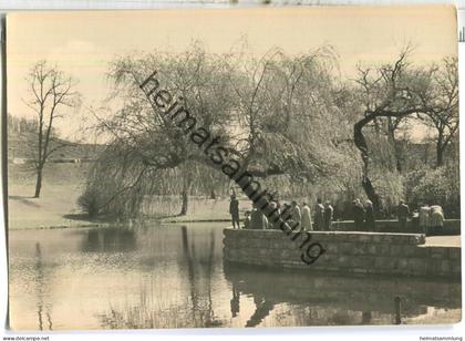 Berlin-Friedrichshain - Goldfischteich im Friedrichshain - Foto-Ansichtskarte - Verlag VEB Postkarten-Verlag Berlin