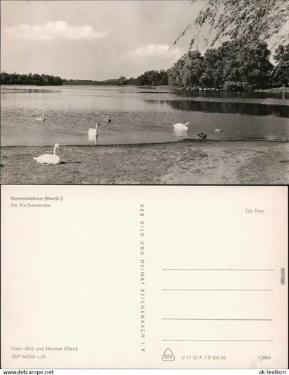 Ansichtskarte Grevesmühlen Vielbeckersee mit Schwänen 1965