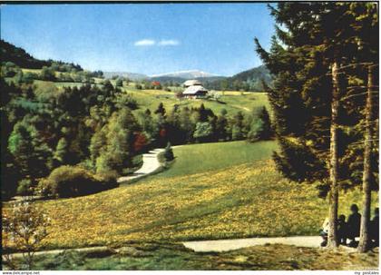 70116378 Hinterzarten Hinterzarten Hinterzarten