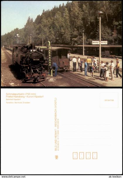 Kipsdorf Altenberg (Erzgebirge) Schmalspurbahn Freital  Bahnhof Kipsdorf  1988