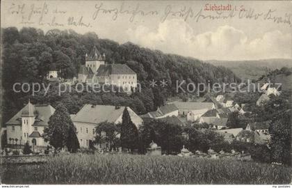 Liebstadt Schloss Kuckuckstein