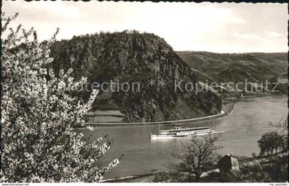 71979423 Loreley Lorelei Rhein Dampfer  Blick Loreley