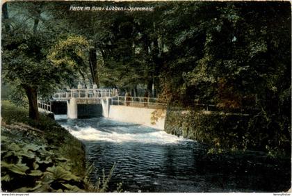 Spreewald, Partie im Hain i. Lübben