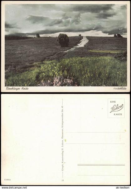 Ansichtskarte .Niedersachsen Lüneburger Heide Heideblüte 1950